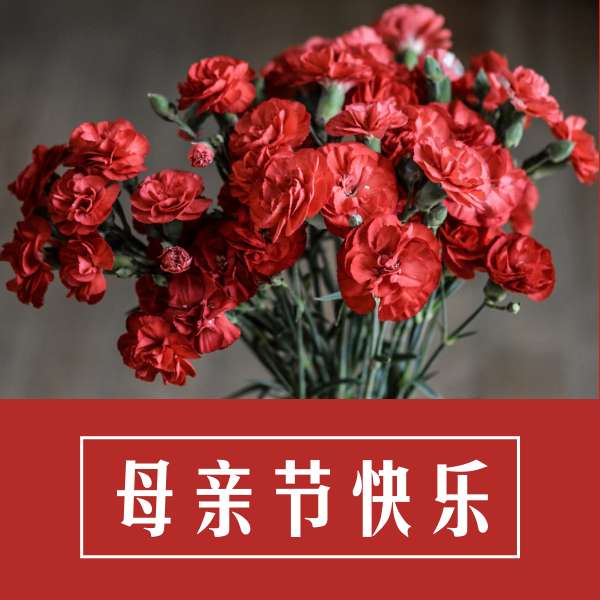母亲节送给妈妈一束花, 也是一个不错的选择, 但花是不能乱送的, 每